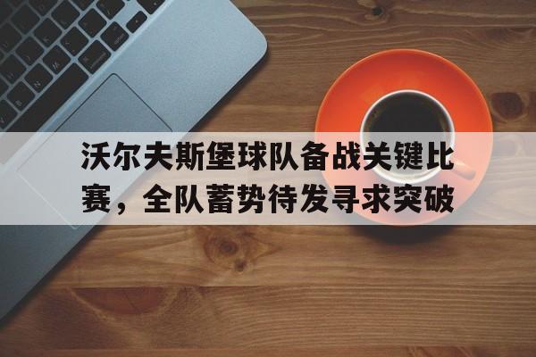 金年会足球官网-沃尔夫斯堡球队备战关键比赛，全队蓄势待发寻求突破