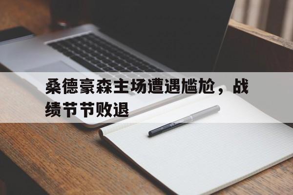 金年会app下载-金年会app官方版-桑德豪森主场遭遇尴尬，战绩节节败退